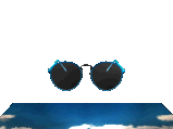 [picture of a pair of sunglasses]