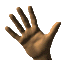 [picture of a waving hand]