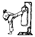 [ picture of martial artists executing a roundhouse kick on a heavy bag ]